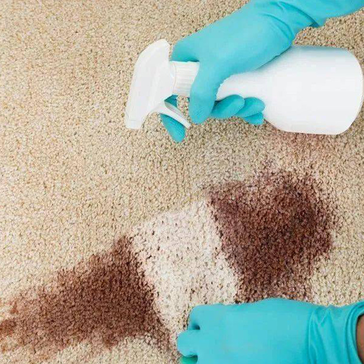 How to keep your carpet looking guest-ready