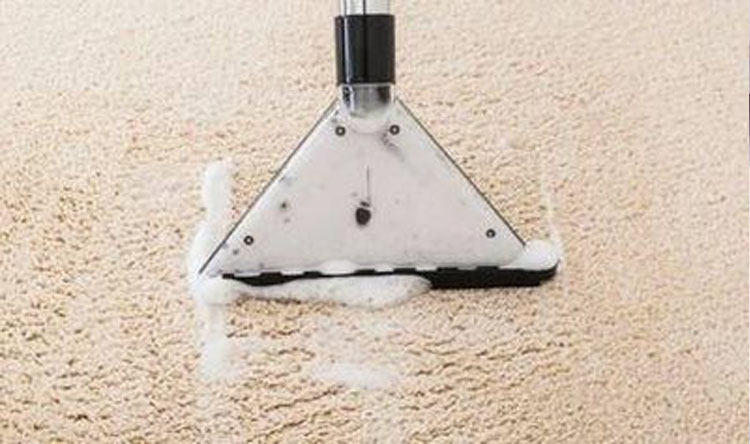 6 Signs You Need to Replace Your Carpet