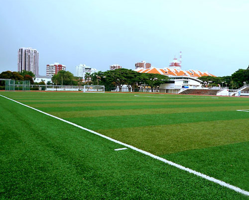 Artificial Grass For Sports Grounds