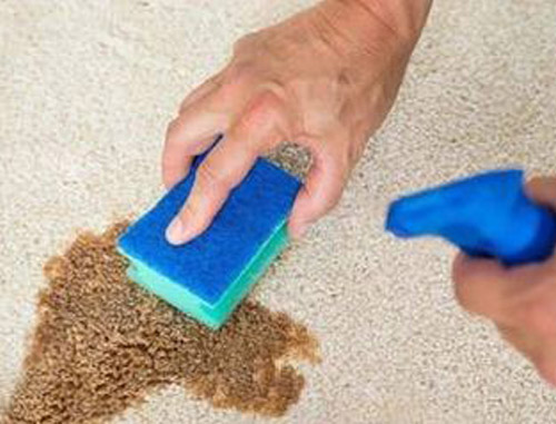 Ten Reasons to Have Carpets Cleaned Year Round