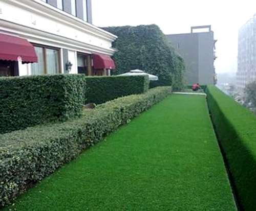 4 Common Artificial Grass Myths Debunked