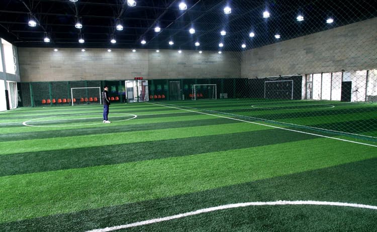 Indoor Artificial Grass