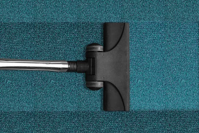 Top ten carpet care tips