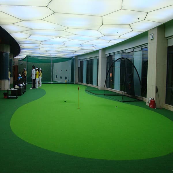 Wuxi Diamond Carpet--Nylon artificial grass