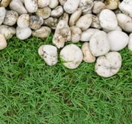 Do I need to prepare the ground before laying Artificial Grass?