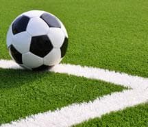 Sports Surfaces artificial grass