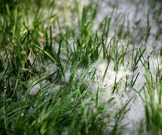 How to Remove Snow and Ice from Synthetic Grass