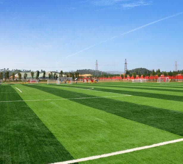 synthetic turf for Sports Areas